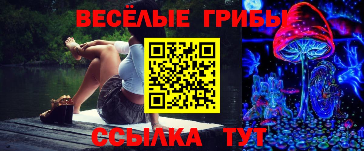 Галлюциногенные грибы мицелий  Галлюциногенные грибы Psilocybine cubensis  Губаха  Вход с VPN 